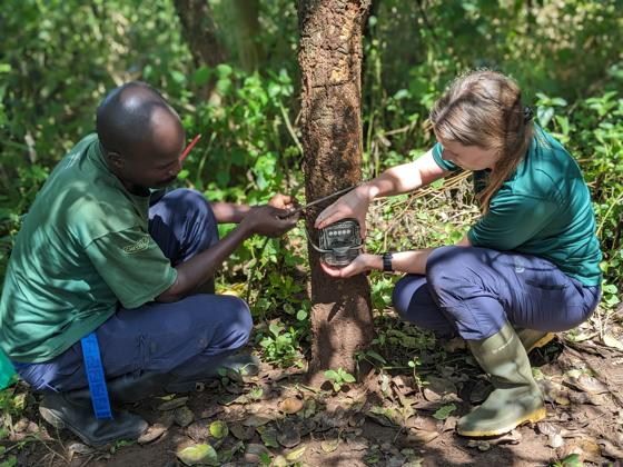 Two Zoo Conservationists In Uganda