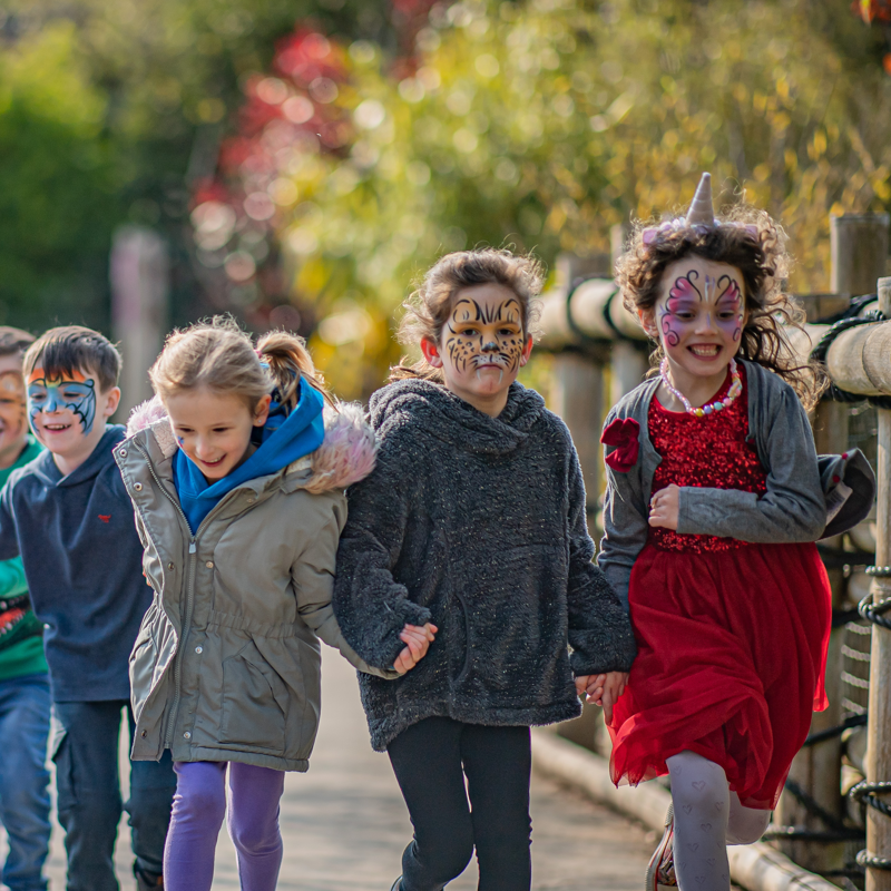 Children Running At A Zoo Birthday Party