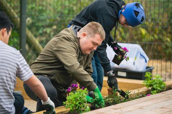 Male Volunteer Planting Flowers