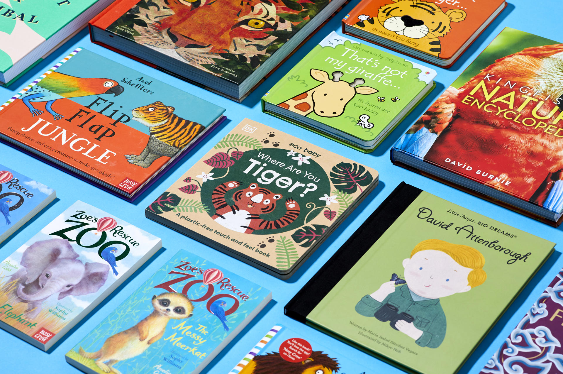 CZ Shop Books