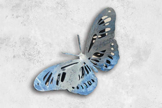 Butterfly 3 2
