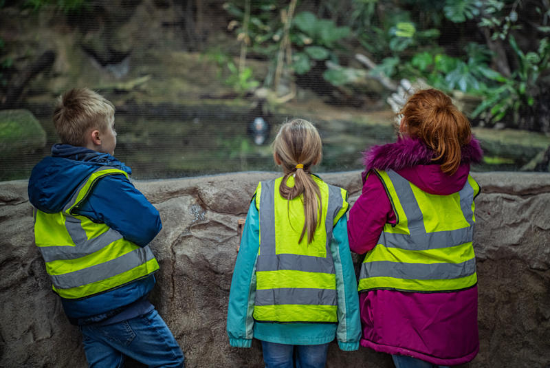 Zooeducation 8