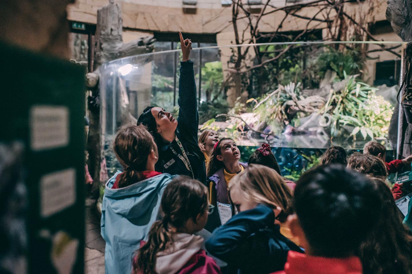 School Trip In Zoo