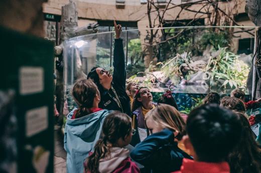 School Trip In Zoo