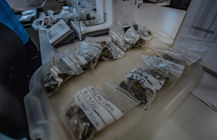 Photo shows packets of poop. Small brown samples are dried and placed in little plastic bags labelled with things like 'giraffe' and 'zebra'