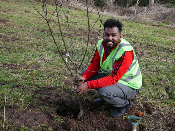 Copy Of Conservationists Transforming Local Landscape To Boost To Wildlife In Cheshire (Orchard Planting) 1