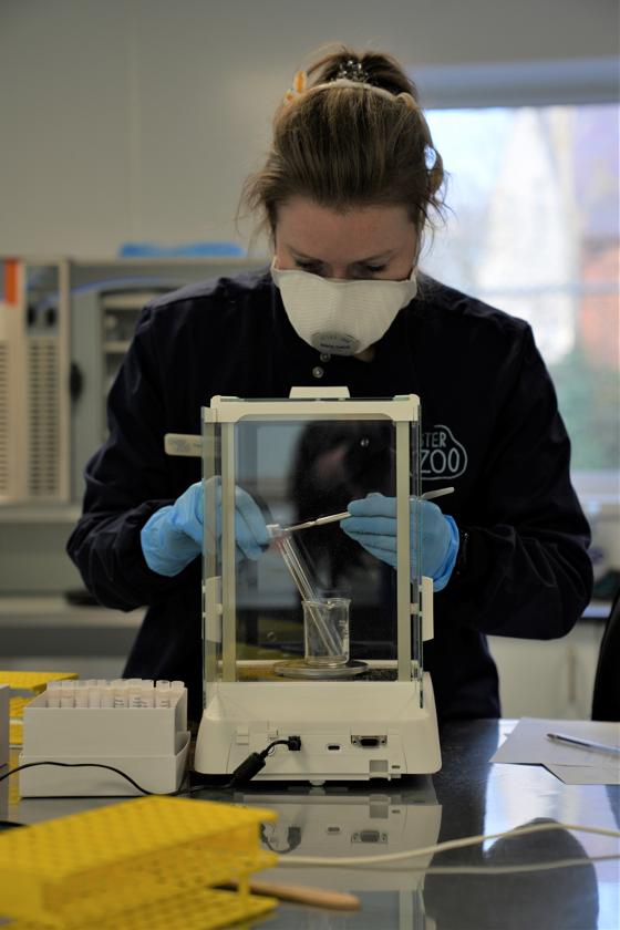 Veronica Cowl Endocrinology Taken In House 012025