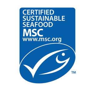 MSC Logo SQUARE