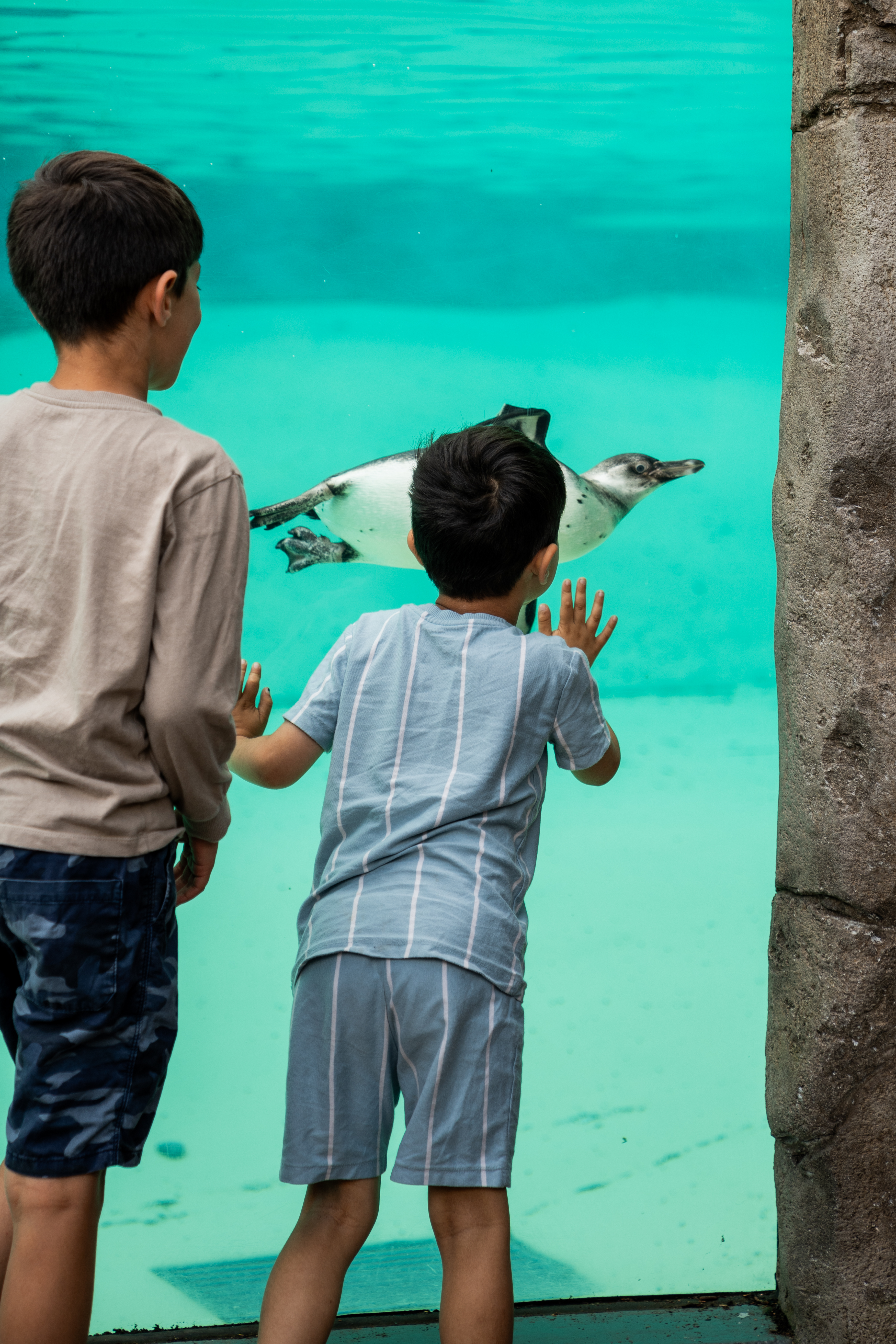 Afterglow Will Offer Guests The Unique Chance To Encounter The Zoo's 37,000 Animals During Golden Hour 2