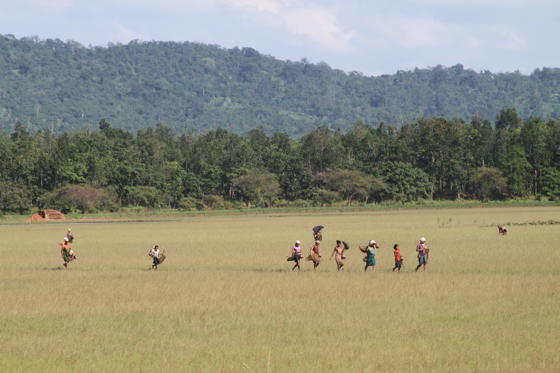 Assam Haathi Project, Landscape
