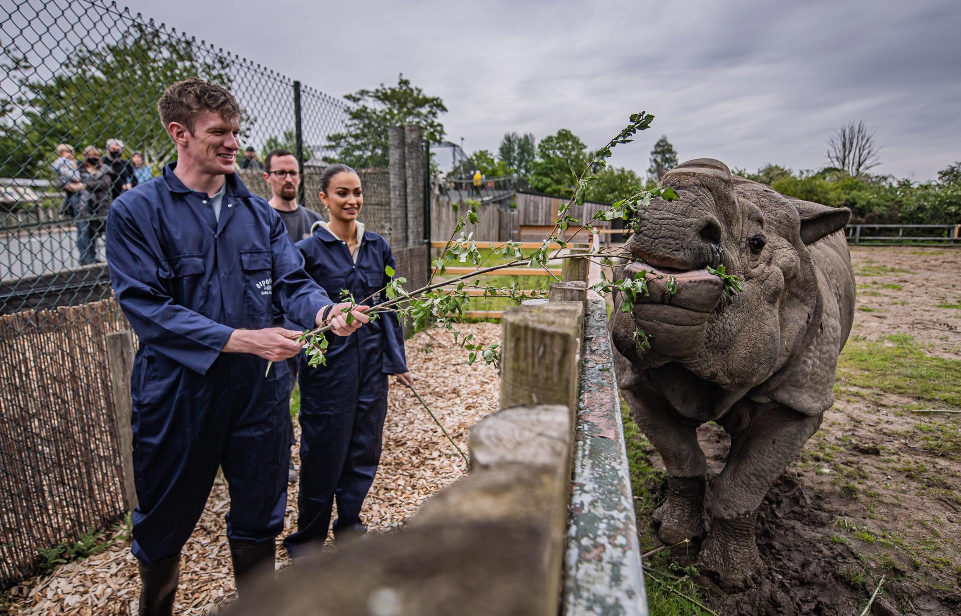 Rhino Experience 3