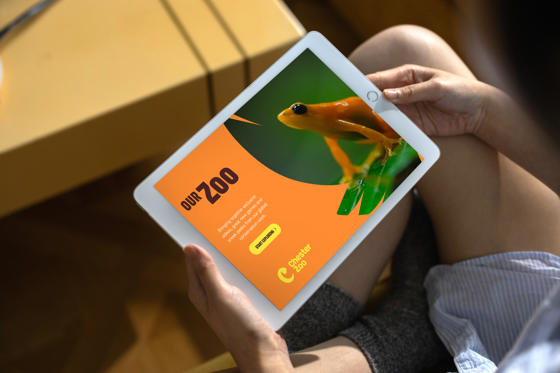 Our Zoo Ipad