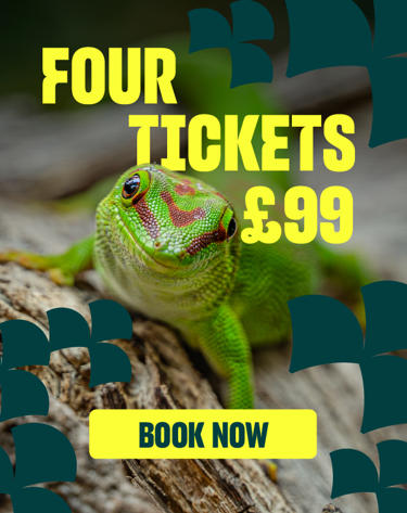£99 Carousel Card