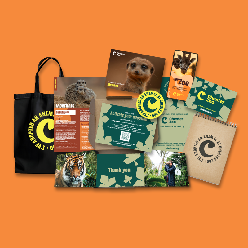 Meerkat Adoption Pack Shot Square
