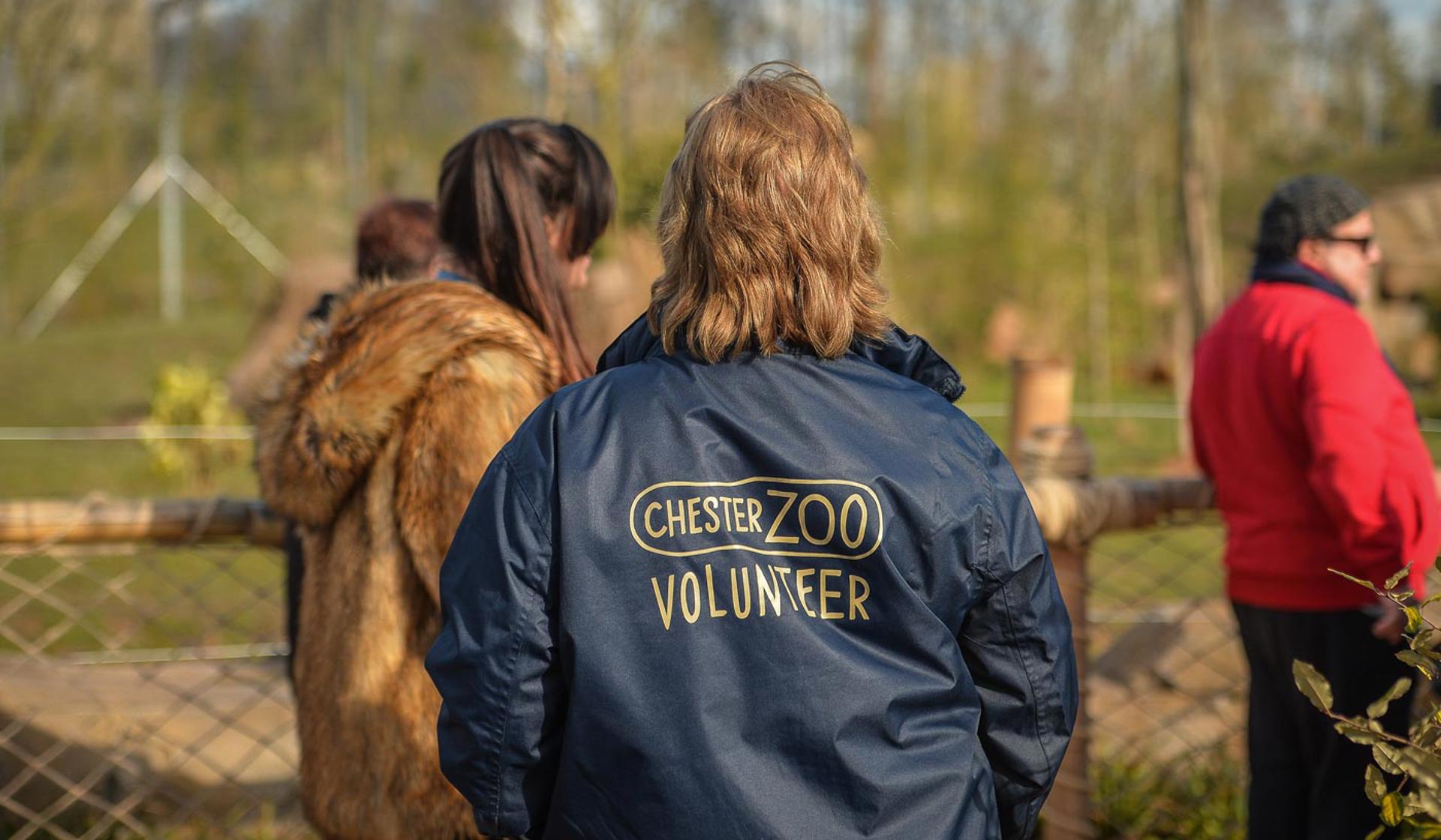 Volunteer At The Zoo
