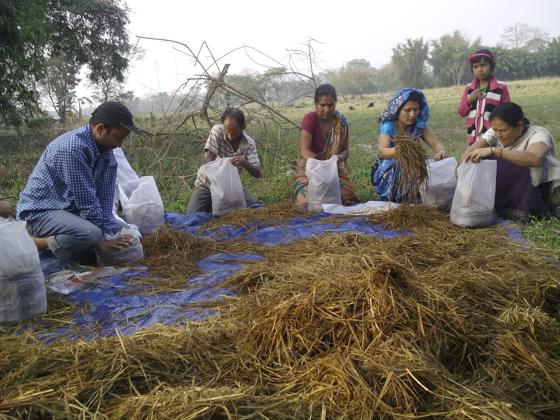 Living With Large Carnivores Green Livelihoods