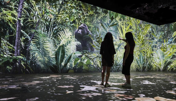 Our Story With David Attenborough 4 (C) Trustees Of The Natural History Museum