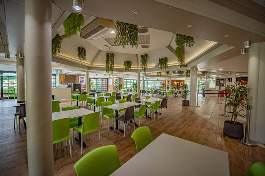 F&B Dining 84