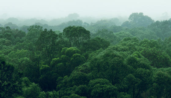 Adobestock 248557151