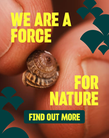 Force For Nature Carousel Teal