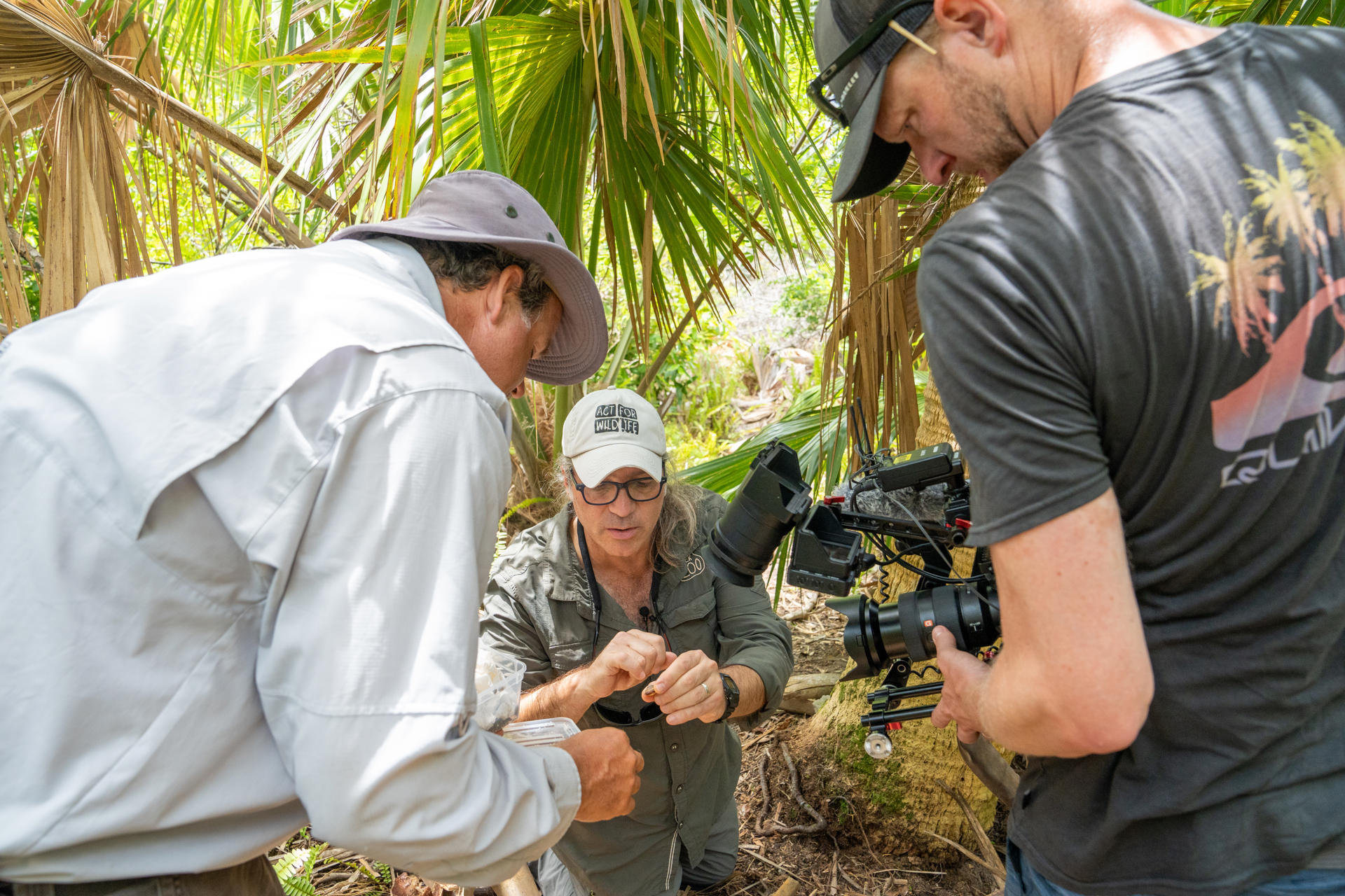 Filming For Bermuda Snails