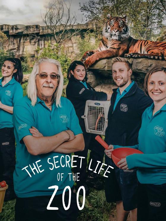 Secret Life Of The Zoo