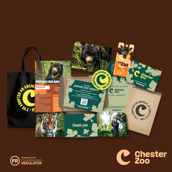 Adoption Landing Page Assets 1080X1080 Sunbear 1400X1400