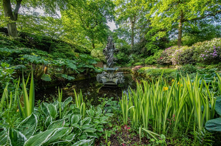 Sunken Garden 5