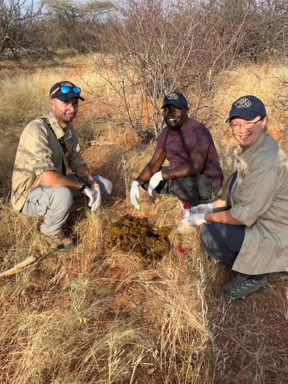 2025 02 Kenya Rhino Endocrinology Rebeccamogey Cedrickhayale Katieedwards Copyrightcz (7)
