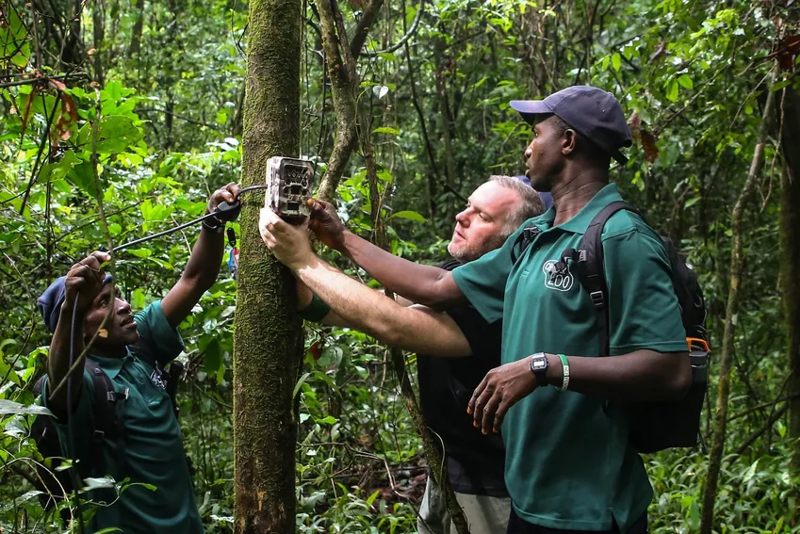 Stuart Nixon And Rangers Setting Up Camera Trap