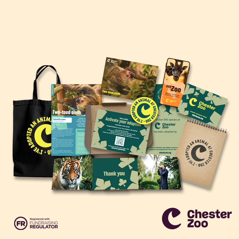 The contents of a sloth adoption pack, Gold level