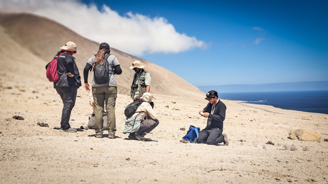 Photo shows plant conversationists standing and crouching in the middle ground of a rocky landscape. Behind them, blue sky is visible