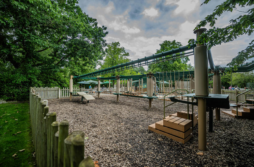 Treetop Challenge 6