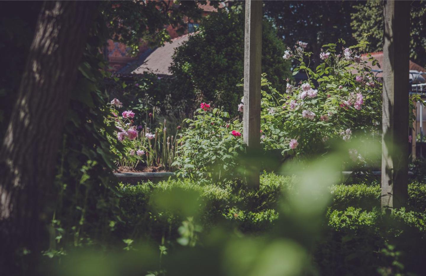 Garden By The Oakfield