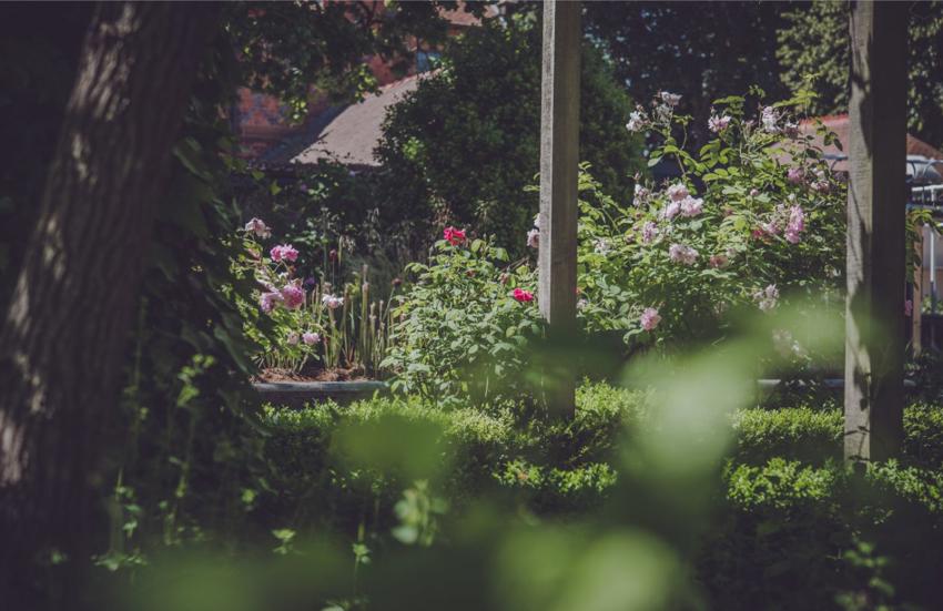 Garden By The Oakfield