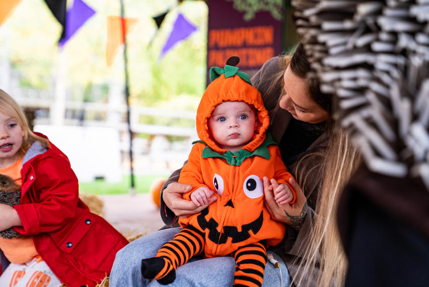 Halloween Campfire Stories 20