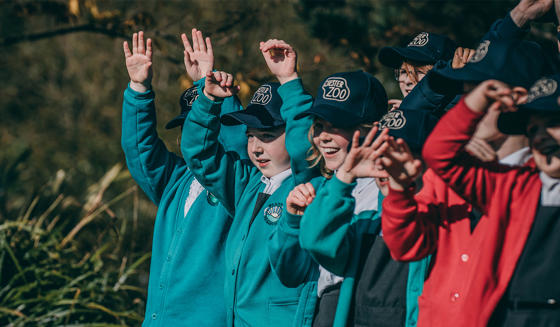Group Of Young School Children With Their Hands Raised
