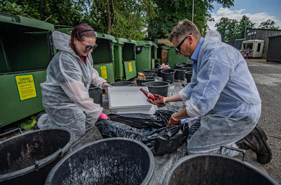 Recycling In The Zoo