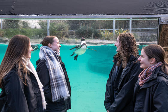 Students And Penguins December 2025 V2