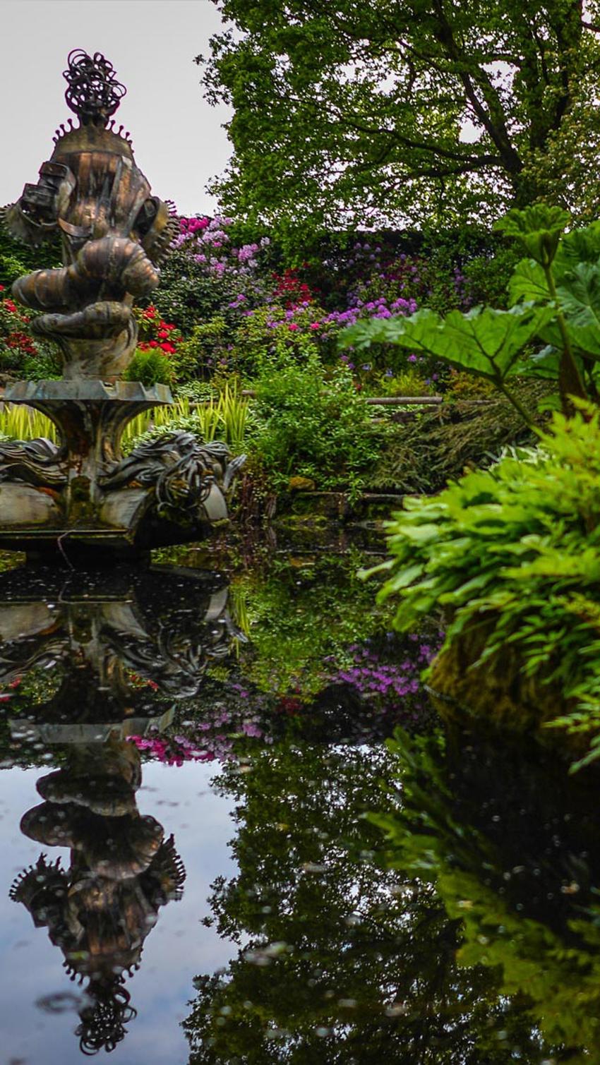 Sunken Garden Habitat At The Zoo 2014 Horticulture And Botany Mobile (1)