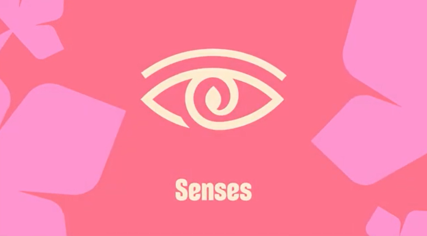 Senses