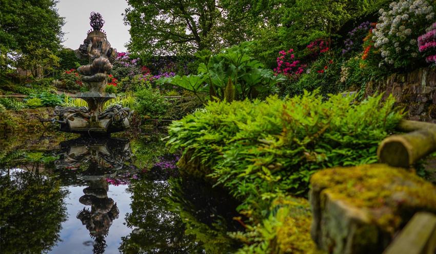 Sunken Garden 3