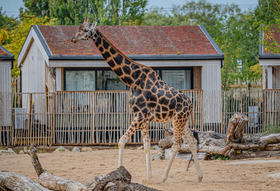 The Reserve Web 029