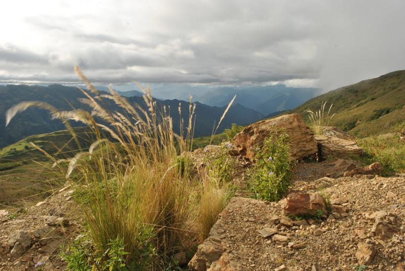 A beautiful but slightly bleak view over scrubland and mountainsides. A tuft of hardy grass is growing from the rocks.