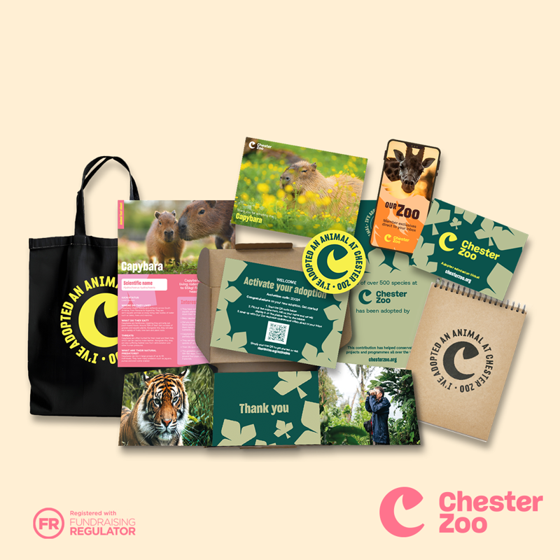 The contents of a Capybara adoption pack, Gold level