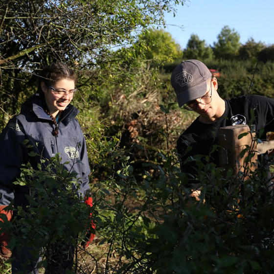 Wildlife Champions Volunteers SQUARE