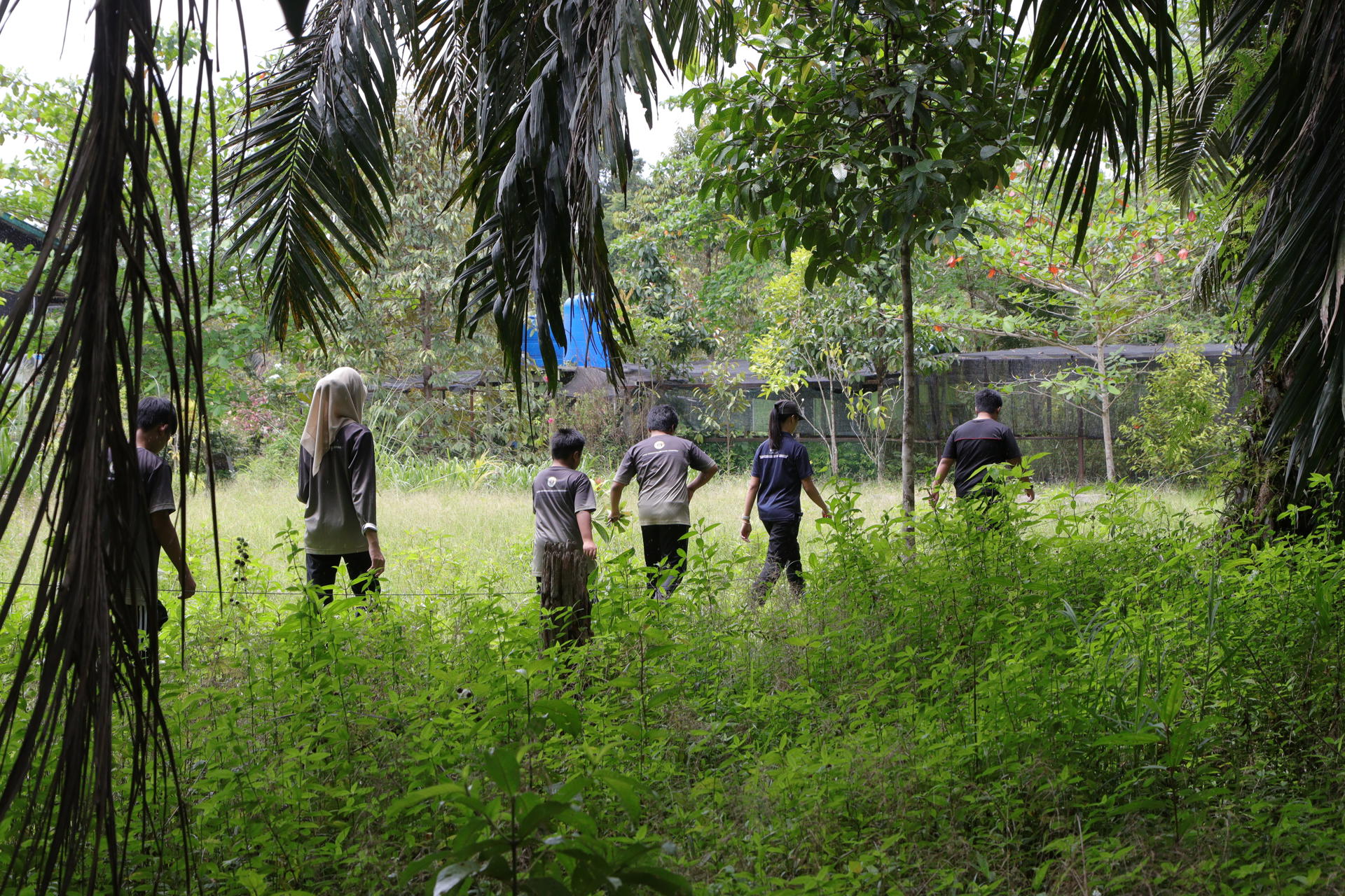 Borneo 2023 Expedition