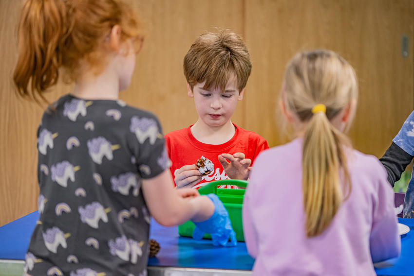 Holidayclub 6