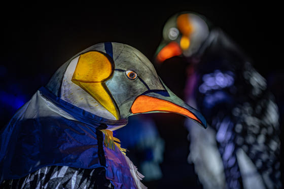 Steve Rawlins Lanterns & Light 007