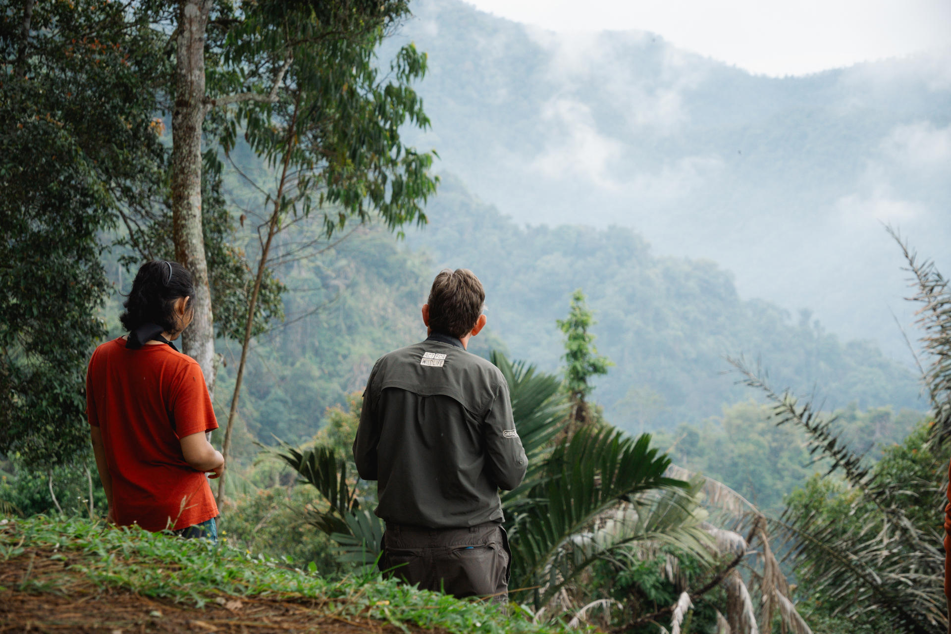 Java Expedition 1